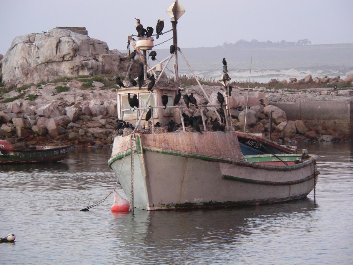 Lamberts Bay Hotel Lambertʼs Bay 外观 照片